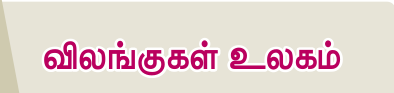 7TH TAMIL விலங்குகள் உலகம்