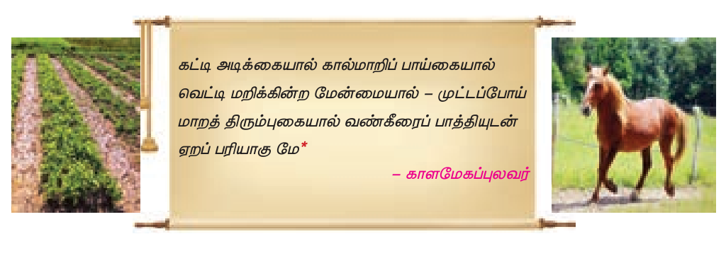 7TH TAMIL கீரைப்பாத்தியும் குதிரையும்