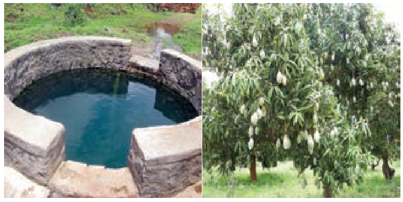 7TH TAMIL ஒப்புரவு நெறி