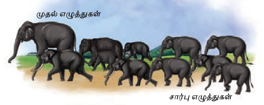 6TH TAMIL முதலெழுத்தும் சார்பெழுத்தும்