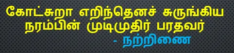 6TH TAMIL கனவு பலித்தது