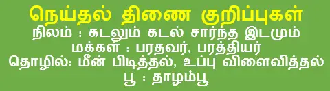 6TH TAMIL கடலோடு விளையாடு
