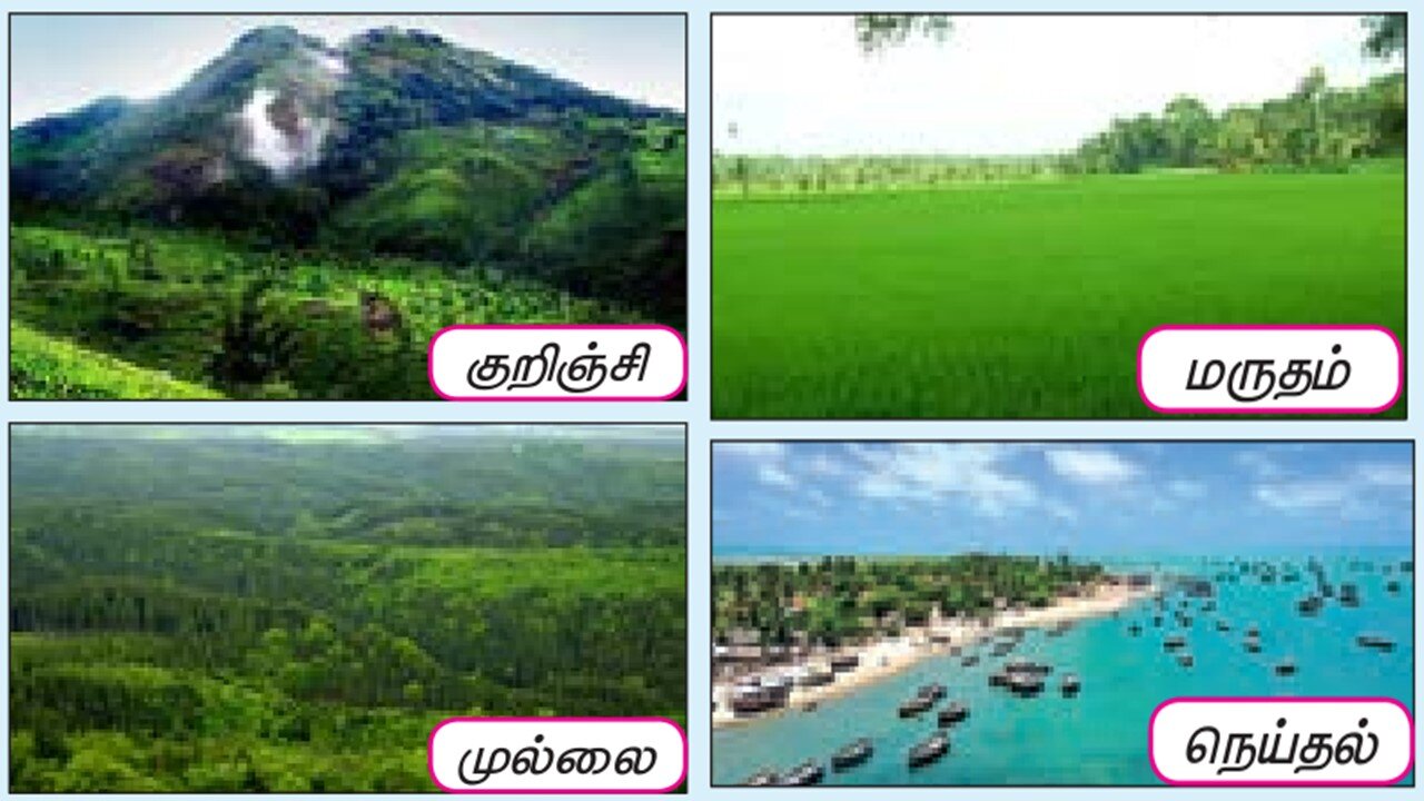 6TH TAMIL நானிலம் படைத்தவன்