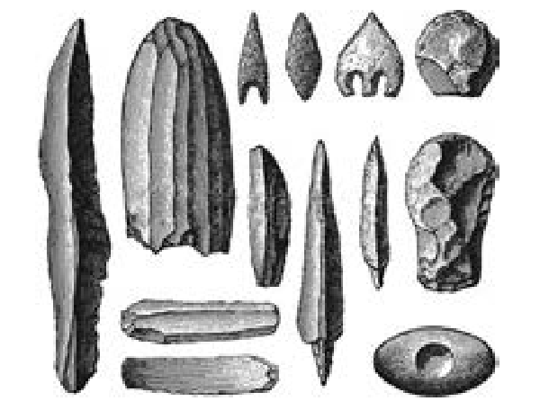 6th History Human Evolution