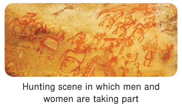 6th History Human Evolution