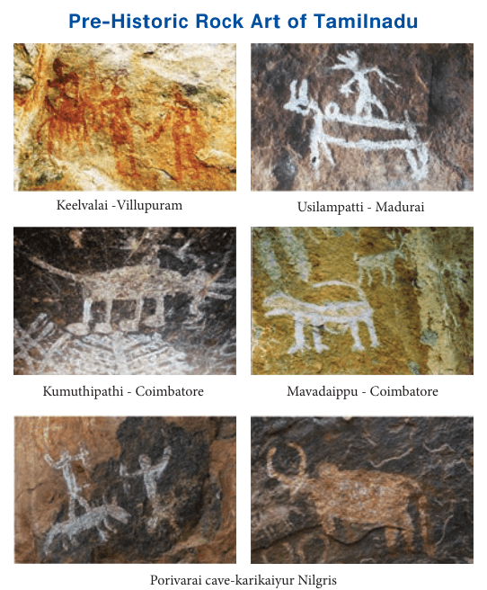 6th History Human Evolution
