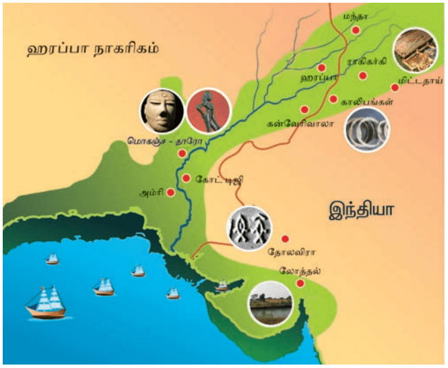 6TH HISTORY சிந்துவெளி நாகரிகம்