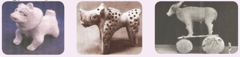 6TH HISTORY சிந்துவெளி நாகரிகம்