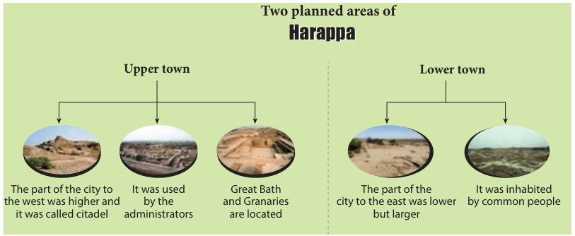 6TH HISTORY INDUS CIVILISATION