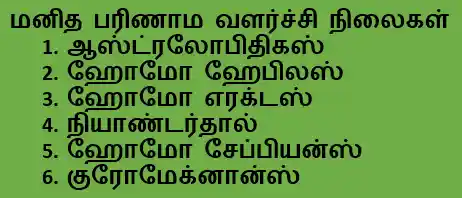 6TH HISTORY மனிதர்களின் பரிணாம வளர்ச்சி