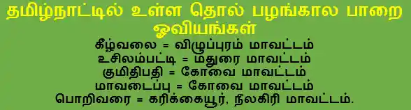 6TH HISTORY மனிதர்களின் பரிணாம வளர்ச்சி