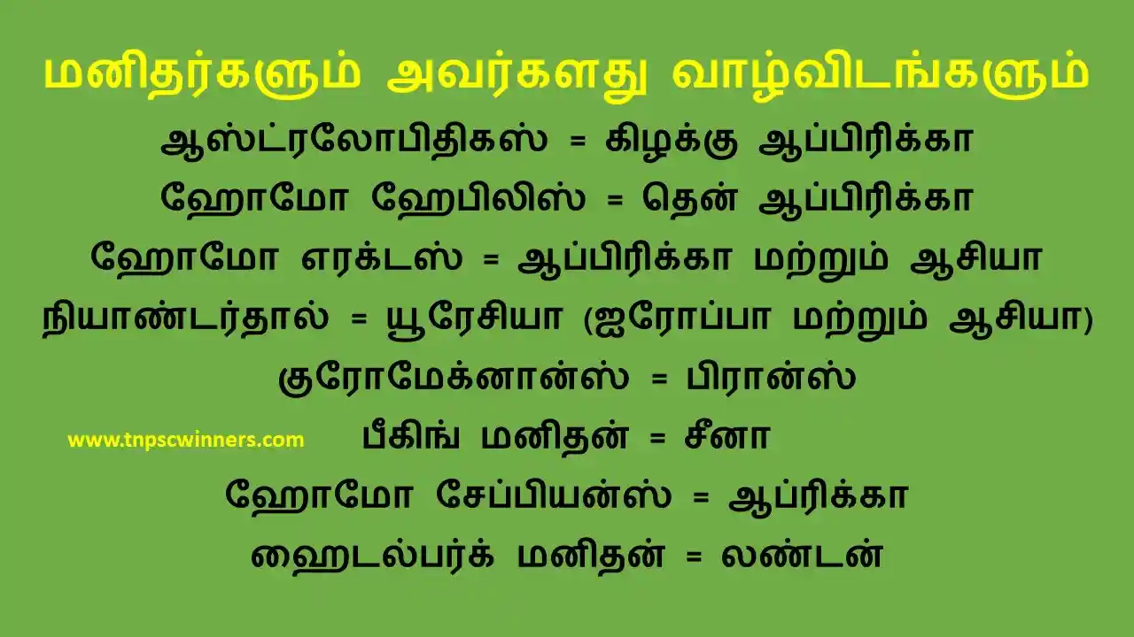 6TH HISTORY மனிதர்களின் பரிணாம வளர்ச்சி