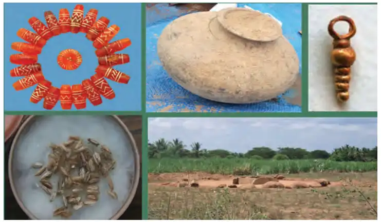 6TH HISTORY தென்னிந்தியாவில் பெருங்கற்கால பண்பாடு