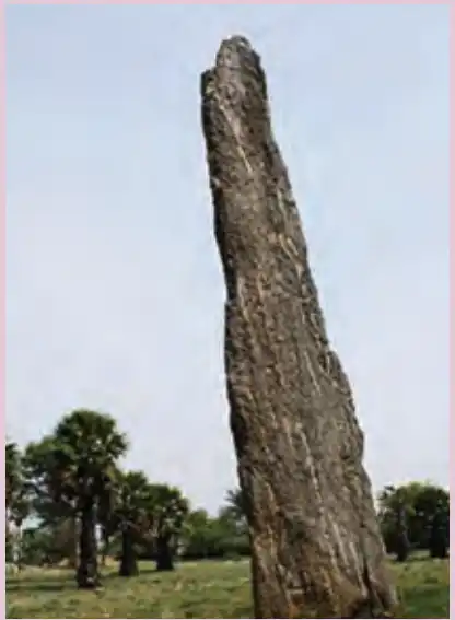 6TH HISTORY தென்னிந்தியாவில் பெருங்கற்கால பண்பாடு