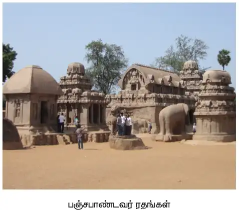 6TH HISTORY தென்னிந்திய அரசுகள்