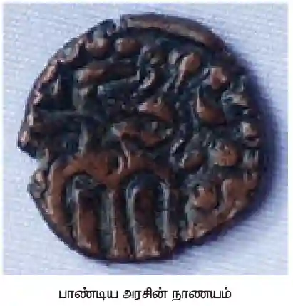 பிற்காலச் சோழர்களும் பாண்டியர்களும்