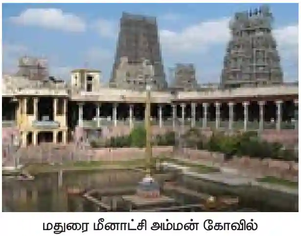 பிற்காலச் சோழர்களும் பாண்டியர்களும்