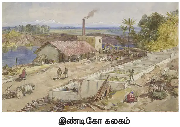 இண்டிகோ கலகம் (அவுரி புரட்சி)