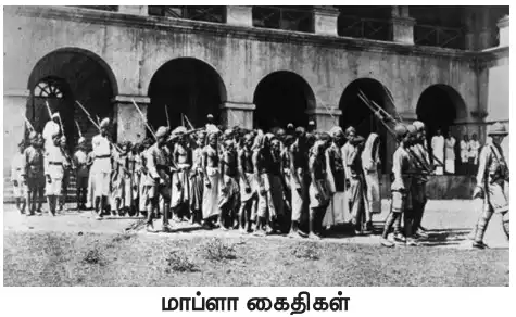 மாப்ளா கிளர்ச்சி