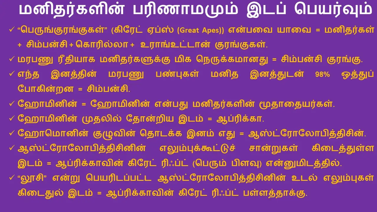 9TH மனிதப் பரிணாம வளர்ச்சியும் சமூகமும்