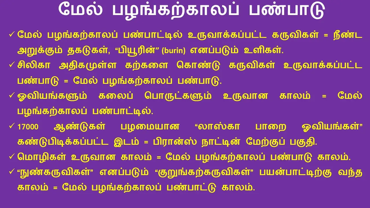 மேல் பழங்கற்காலப் பண்பாடு
