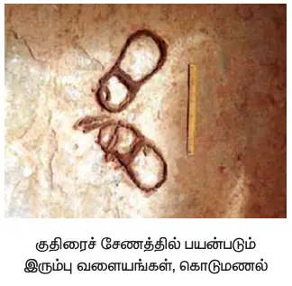 9TH தொடக்ககாலத் தமிழ்ச் சமூகமும் பண்பாடும்