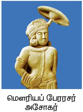 9th அறிவு மலர்ச்சியும் சமூக அரசியல் மாற்றங்களும்