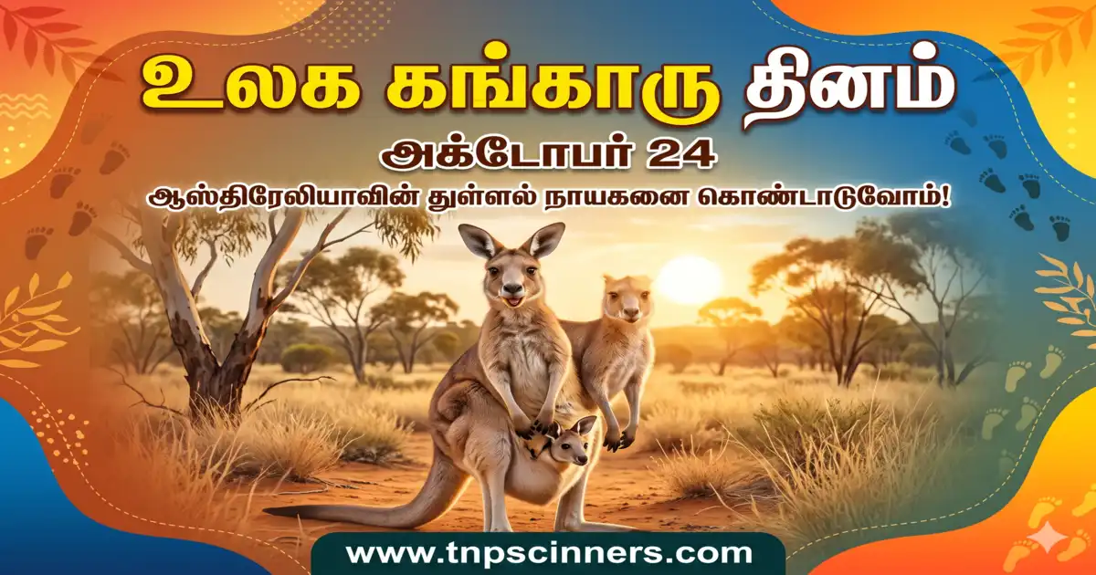 உலக கங்காரு தினம் 2026 1 உலக கங்காரு தினம் 2026
